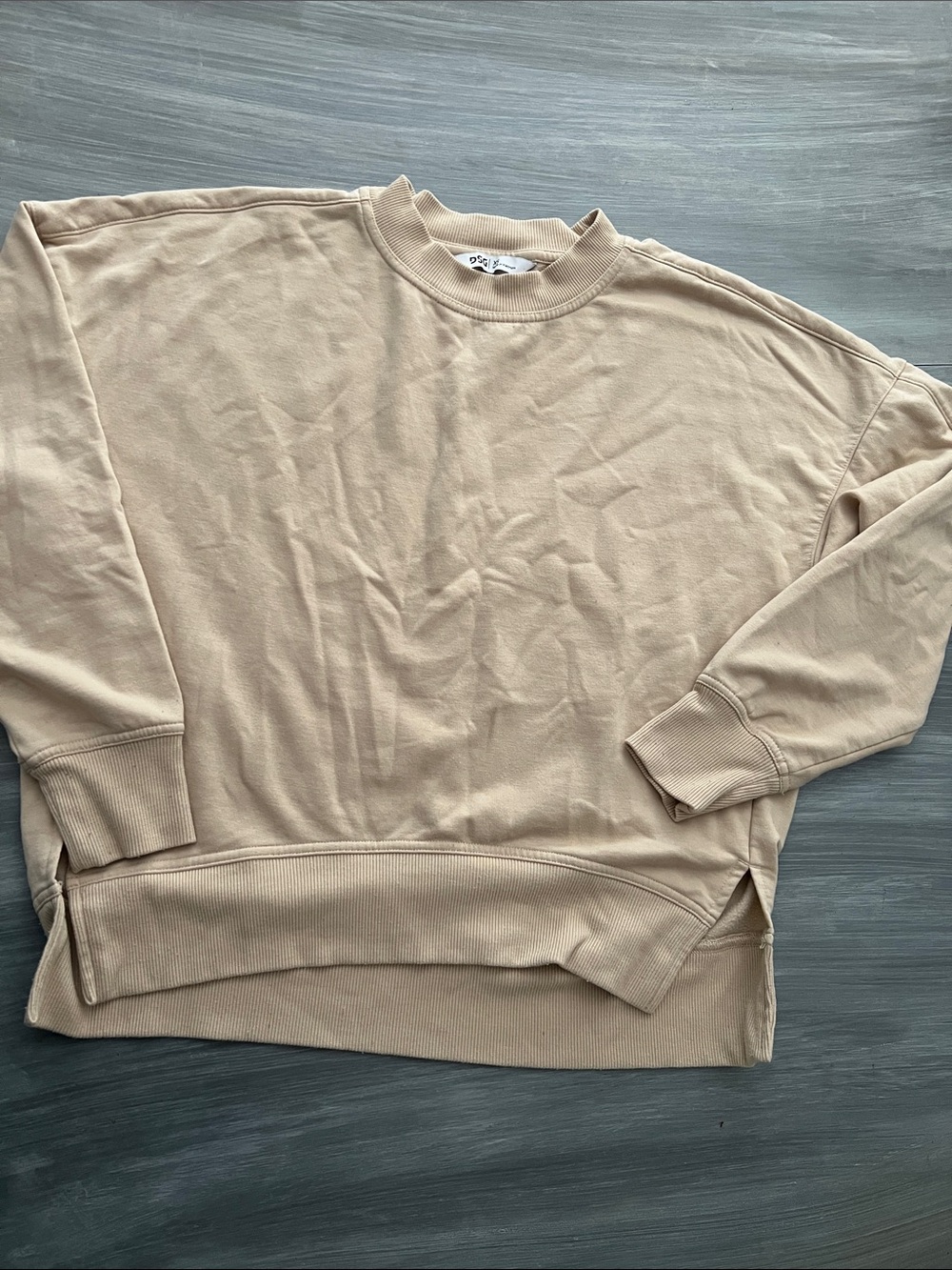 DSG Women's Crewneck Sweater in Beige